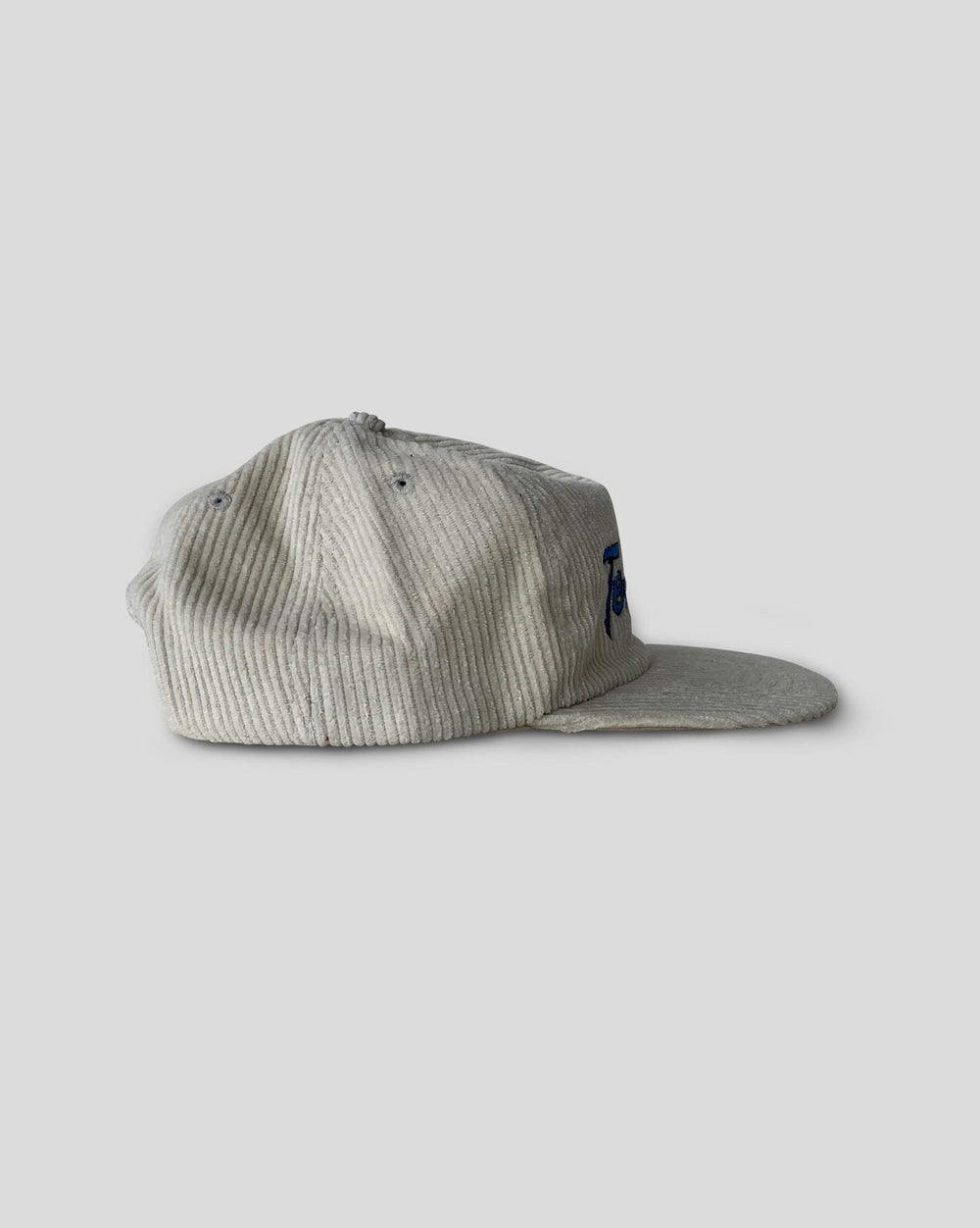 Have A Nice Game® Tennessee Corduroy Snapback Hat